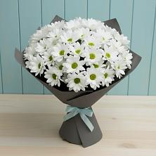 Букет цветов из:  Хризантемы в Луге