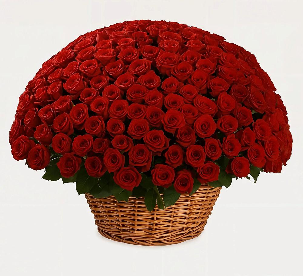 Премиум букет из: Розы в Луге