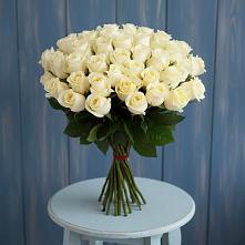 Букет 51 Белая роза Эдлесс Лав #REPLACE_PRED# Луге