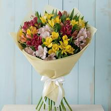 Букет цветов из:  Альстромерии #REPLACE_PRED# Луге