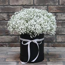 Цветочная композиция из Гипсофила в шляпной коробке в Луге