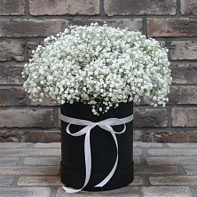 Цветочная композиция из Гипсофила в шляпной коробке в Луге