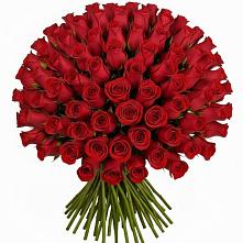 Букет Красные розы Чери Лав в Луге