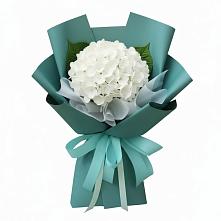 Букет цветов из:  Гортензия в Луге